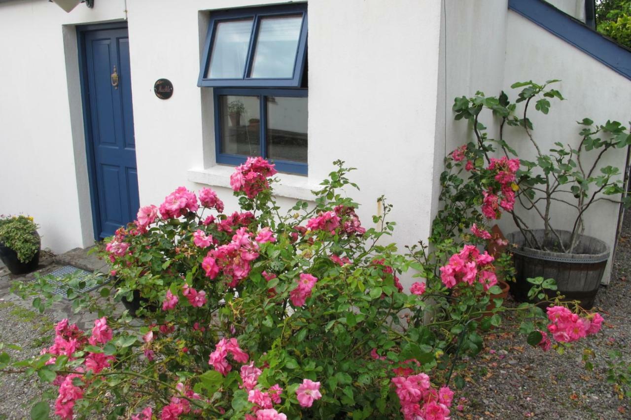 Muckle Flugga Villa Goleen Eksteriør bilde